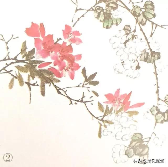 少儿国画花卉画法视频,各种花卉的100种画法