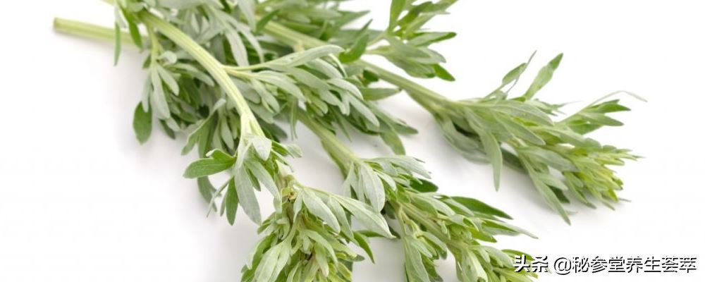 婴儿用艾叶泡澡有什么好处,端午用艾叶给孩子泡澡的好处
