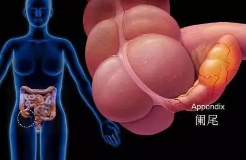 香蕉割包皮,洋葱剖腹产?这是我见过最秀的医生