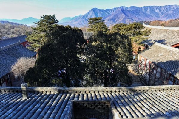 盛唐气度，佛国五台-山西古建筑6日行（3）