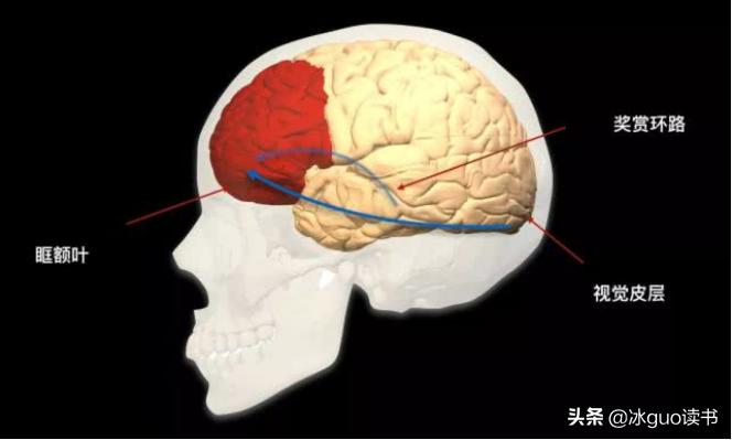 怎么练习思维和深度思考,每天10分钟轻松提高深度思考能力