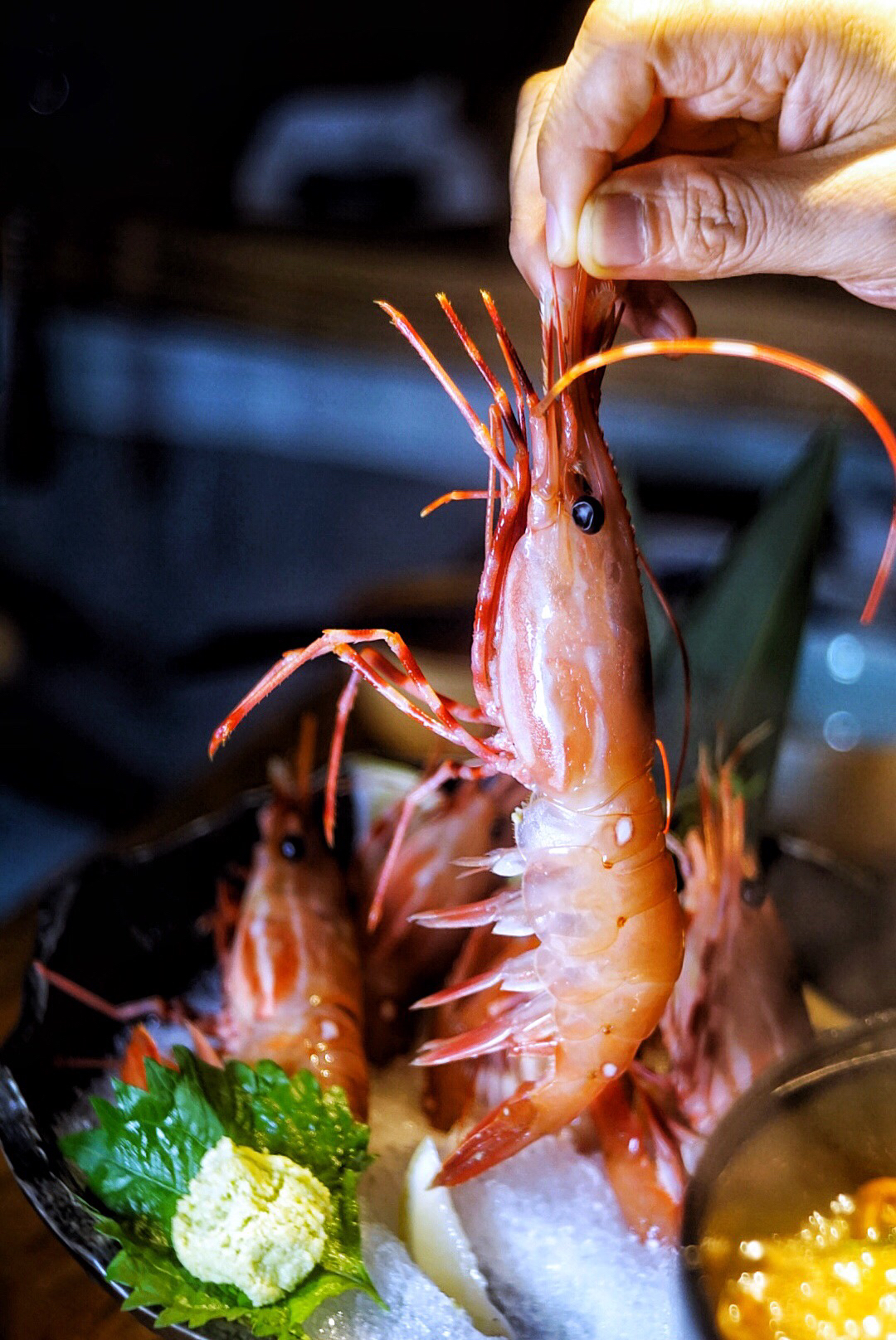 厦大学子的约会宝藏店,温暖人心的日式居酒屋“鲶.道居食屋”