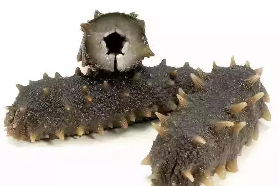 乳山到荣成自驾游攻略,乳山旅游攻略亲子游住宿