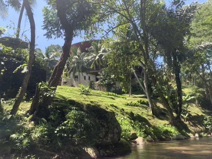 巴厘岛避雷指南和一些诚恳的小建议