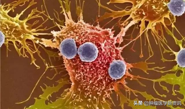 日本细胞免疫疗法骗局,日本细胞免疫治疗一般维持多久