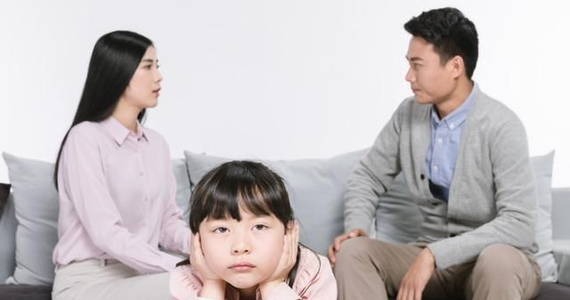 心理治疗实录全文,家庭心理治疗理论