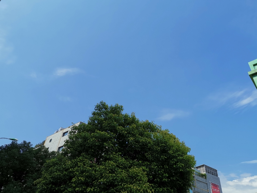 今天上午去樱花理发店剪头发,吃个盖饭,看个免费的电影