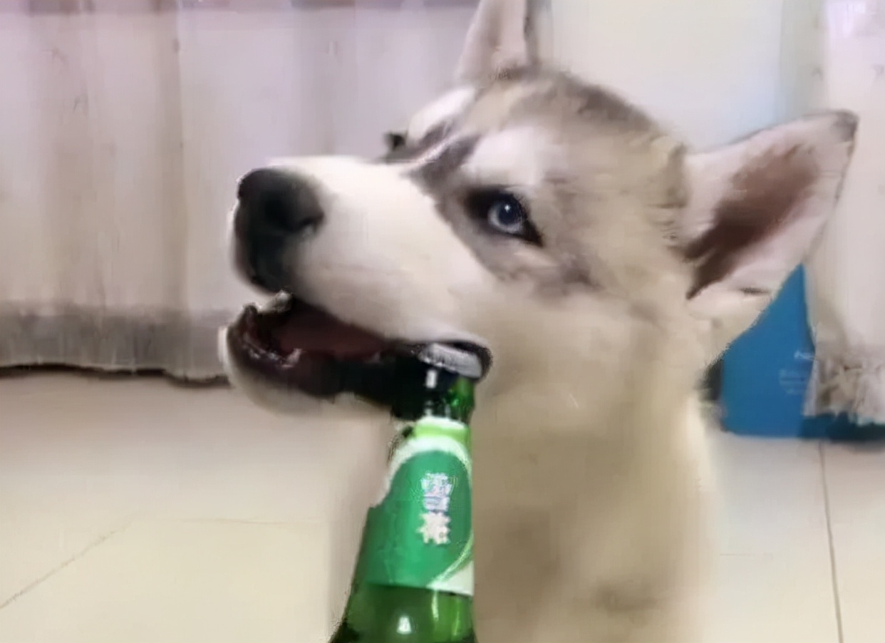 @瓜子*党**和*力暴**开瓶侠看过来！戚薇同款牙，你不pick一下吗