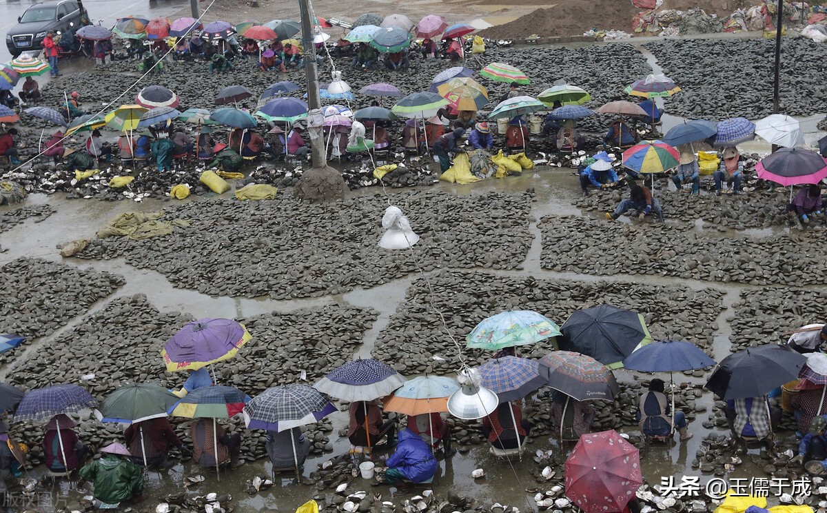 浙江绍兴诸暨山下湖珍珠市场,中国最大珍珠批发诸暨市场