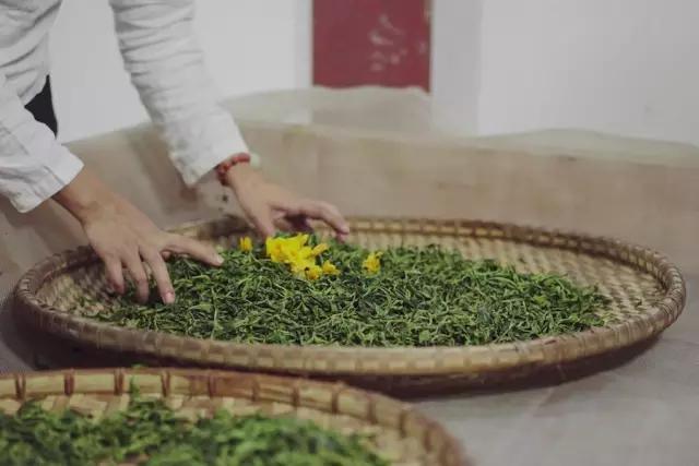 她住在西双版纳17年，再造6666亩雨林，做出了独一无二的茶