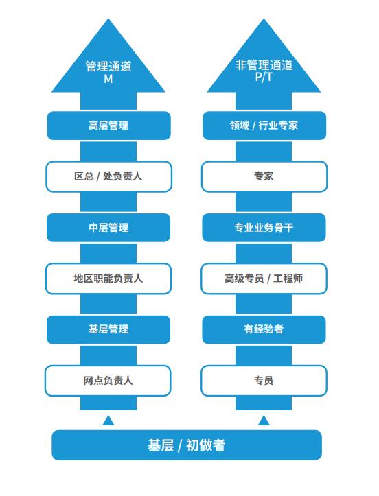 顺丰快递概况及发展ppt,顺丰快递行业发展分析ppt