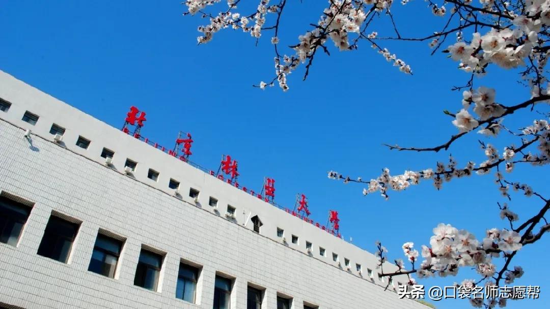 985211院校含金量最高的专业,全国高校985211大学中的优势专业