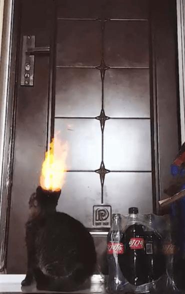 家人都夸我换的好猫眼门铃三合一的小米智能门锁Pro使用体验