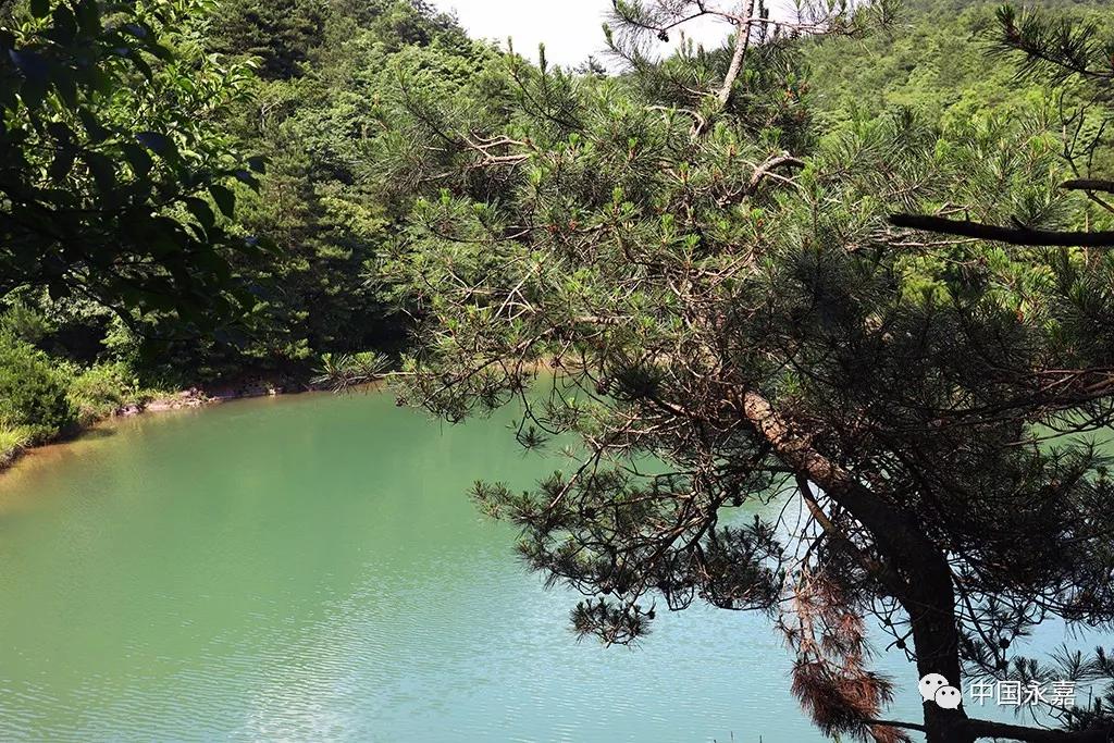 温州永嘉最高山峰,楠溪江最高的景区