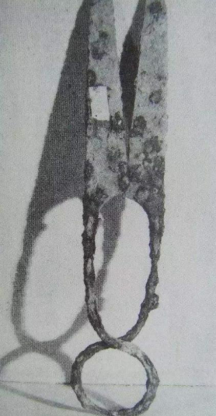 古人不可以随便剪头发,古人头发不剪是因为什么