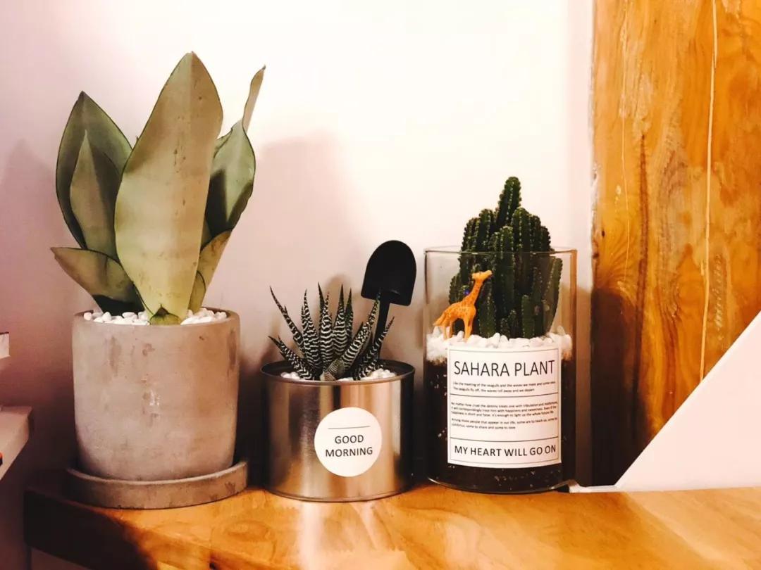 北京平房40平米改造,北京平房设计改造