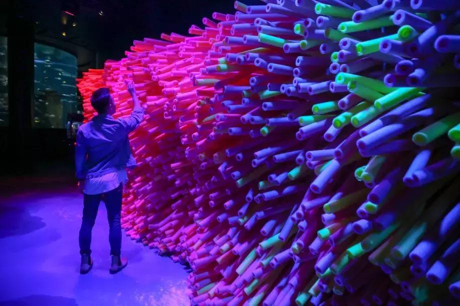 圣诞好玩活动,如何玩转圣淘沙岛