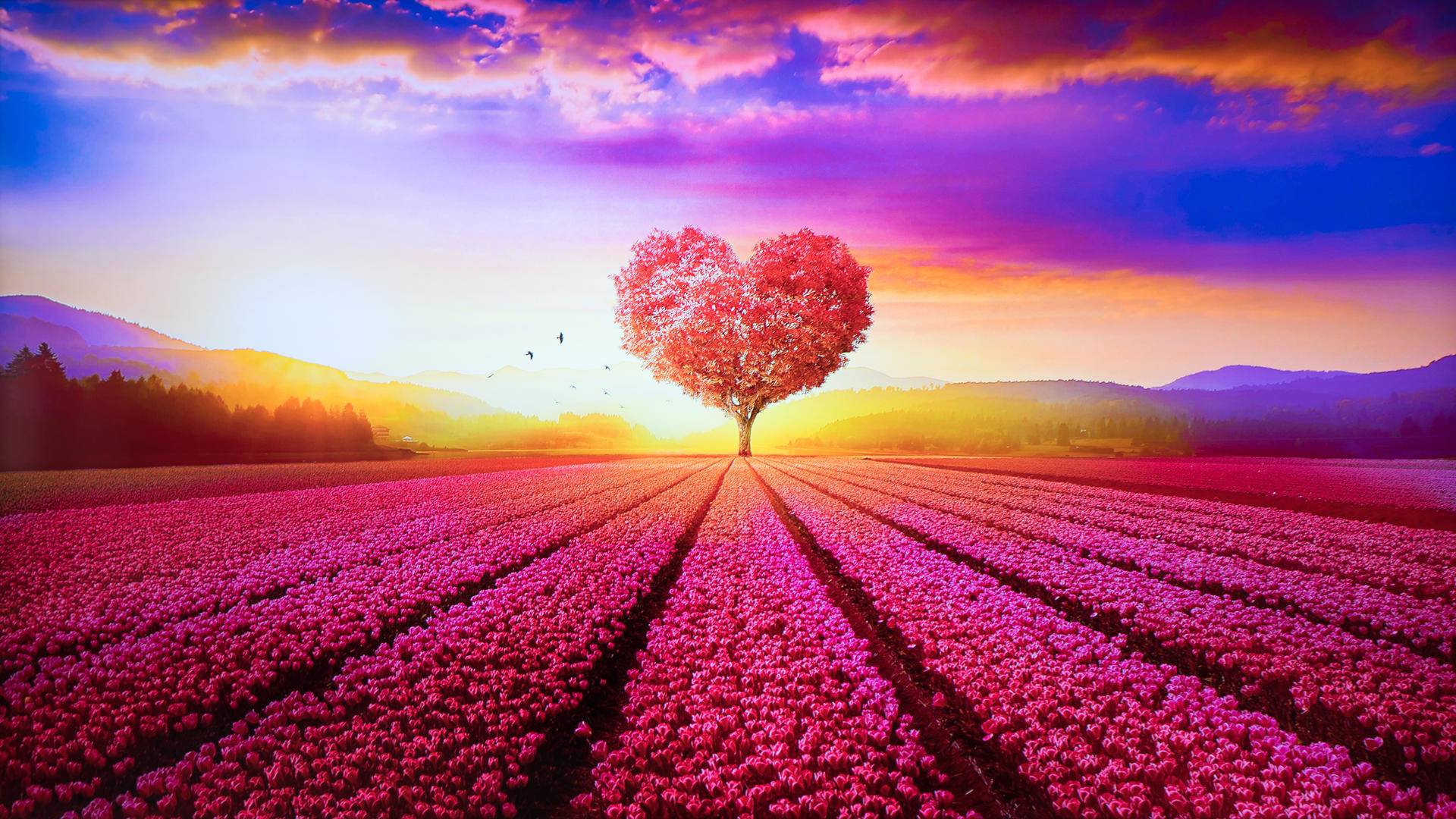 海信电视65寸不卡顿,海信电视hz65e7d屏幕亮度多少