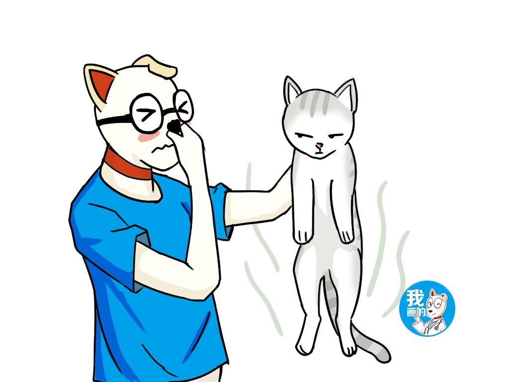 铲屎官猫咪放屁,铲屎官睡觉时猫咪放屁