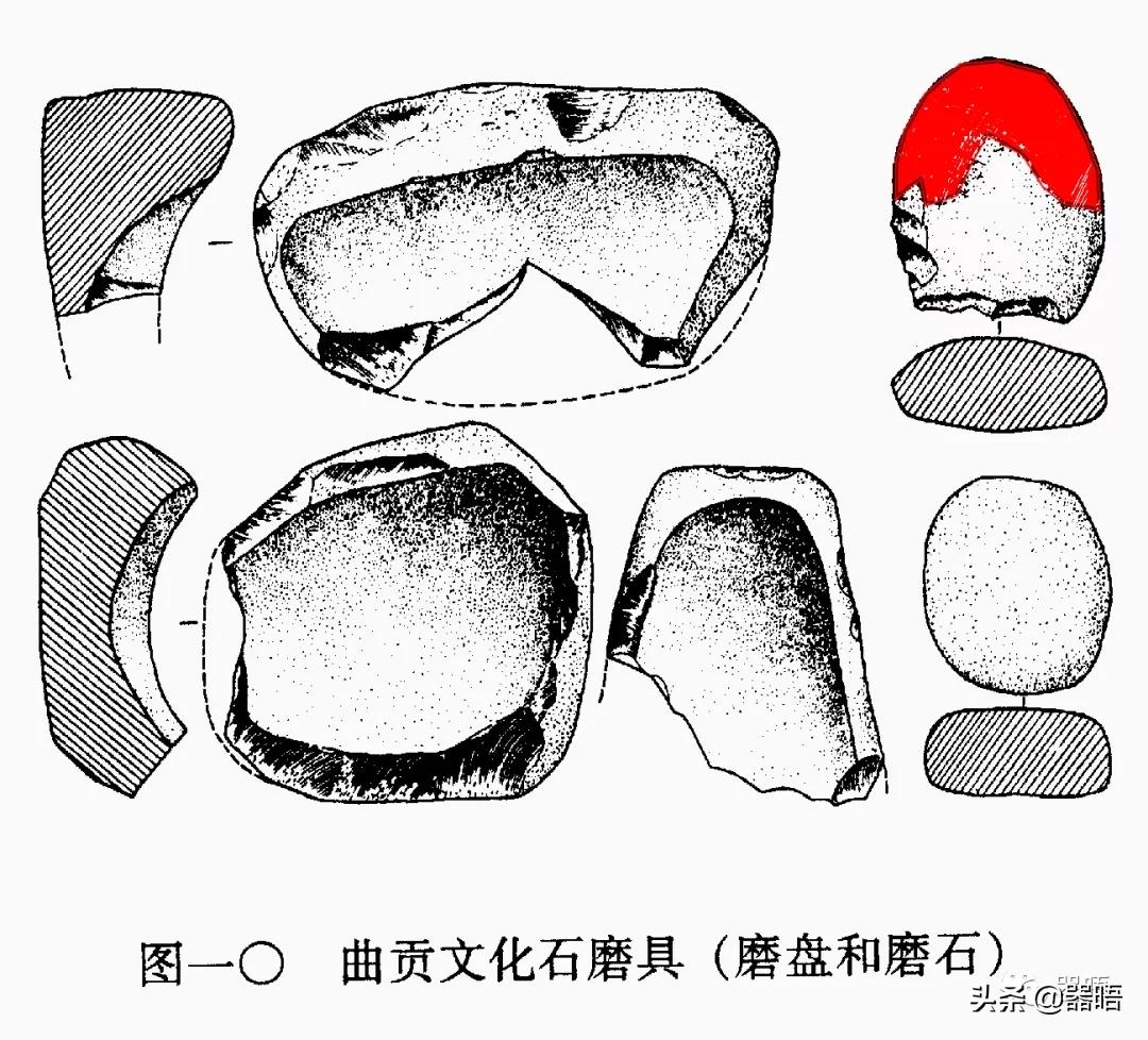 在西藏发现的史前生物,西藏的古人类