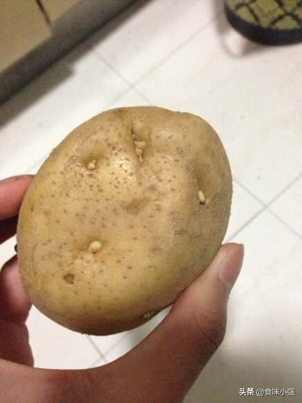 长芽的土豆还能吃吗动画,长芽的土豆还能吃吗
