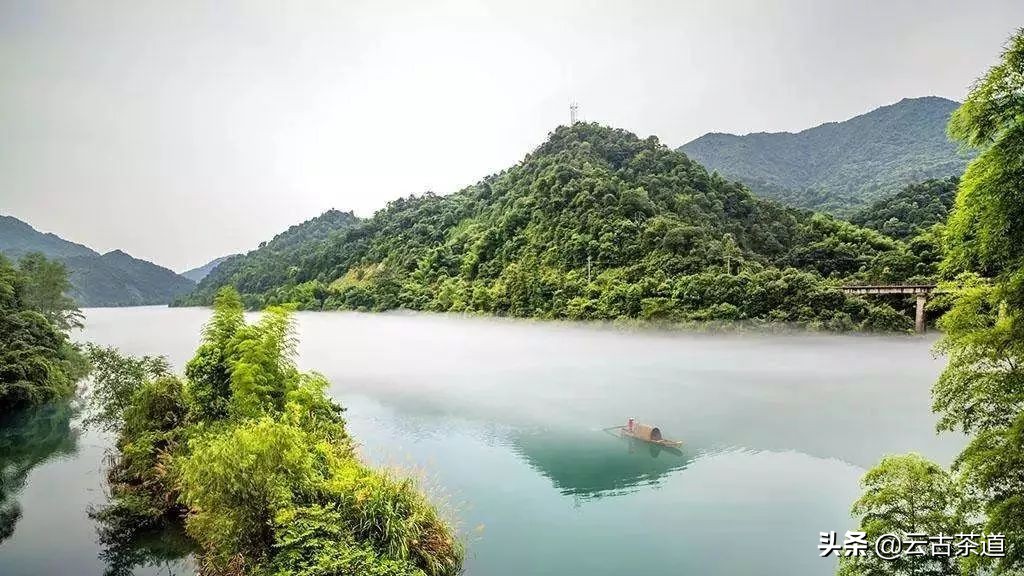 泡茶怎么加水啊,泡茶用水怎么煮比较好