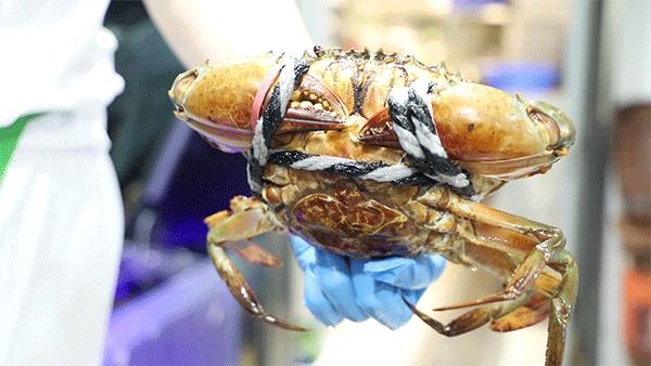 稻香“疯狂海鲜节”，1元得鲍鱼