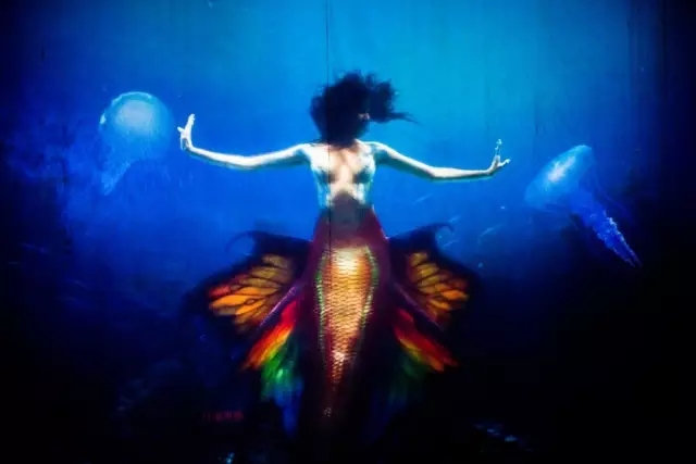 烟台海昌鲸鲨馆,烟台海昌鲸鲨馆表演