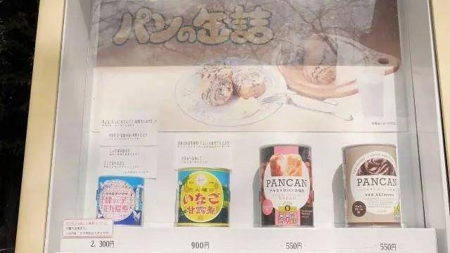 桥本环奈坂口健太郎,桥本环奈工具