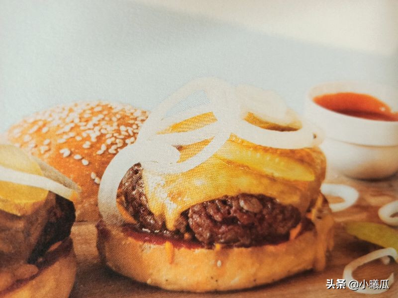 汉堡包是健康食品还是垃圾食品,汉堡包是不是有害食品