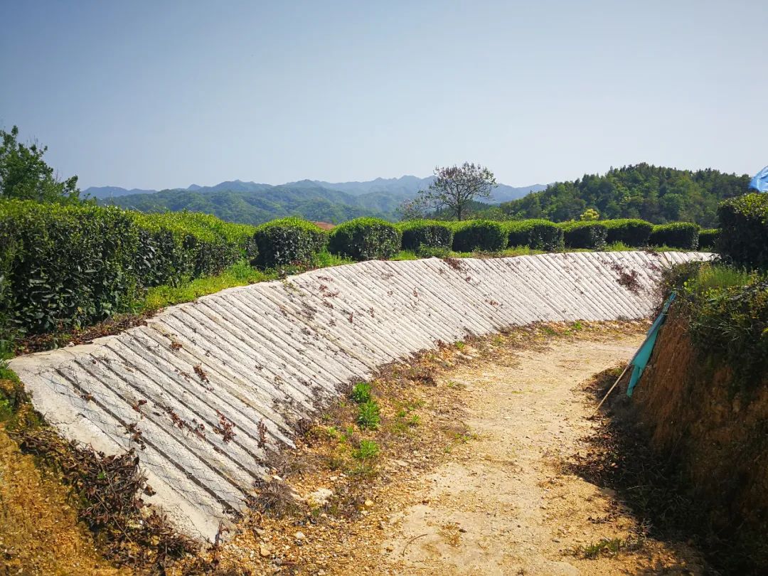 2020环鄱阳湖自行车大赛终点,来吧2024冠军赛名单