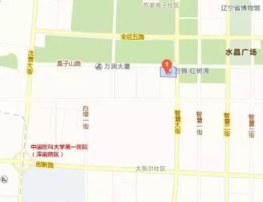 沈阳陆军总院和北部战区总医院,沈阳202医院与陆军总院