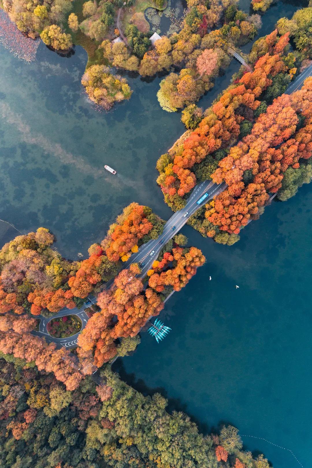 杭州最佳赏秋路线推荐,杭州附近赏秋的地方