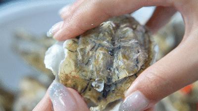 520「本味寒造」来寻味顺德啦！低至44折食全蚝套餐