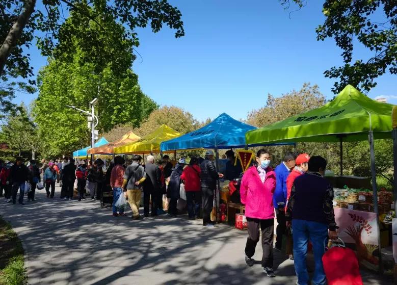 閲戠涓板彴璧忕帺鏀荤暐鍑虹倝,涓板彴閲戠鏂囧寲鏃呮父鏀荤暐
