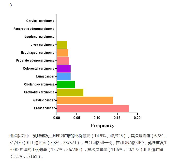 her2肺癌靶向药入集采了吗,肺癌her2靶向药治愈率