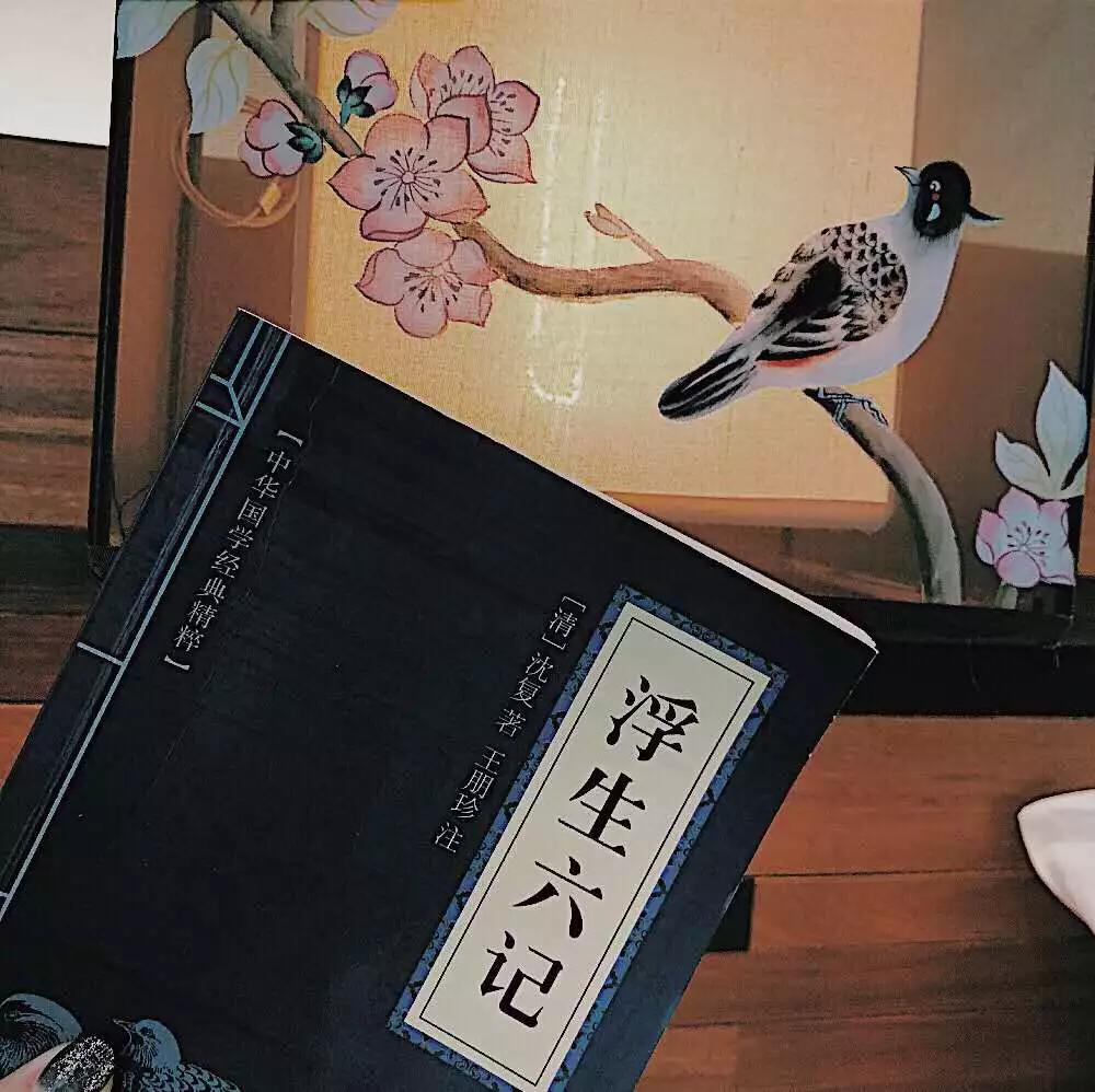 苏州最美民宿,苏州市区十大最美民宿