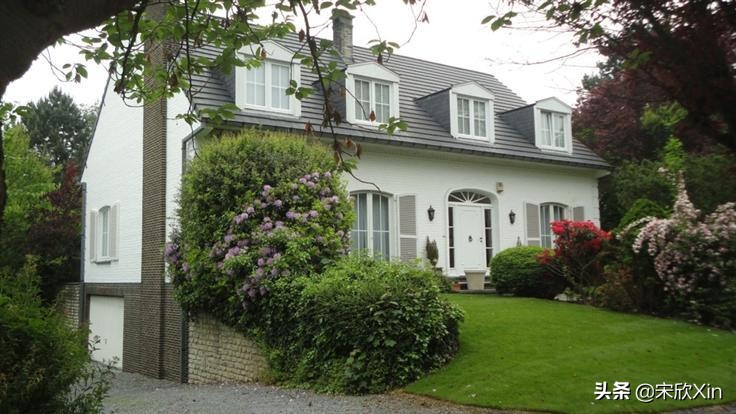 约翰逊是如何当上英国首相的,英国首相眼中的约翰逊