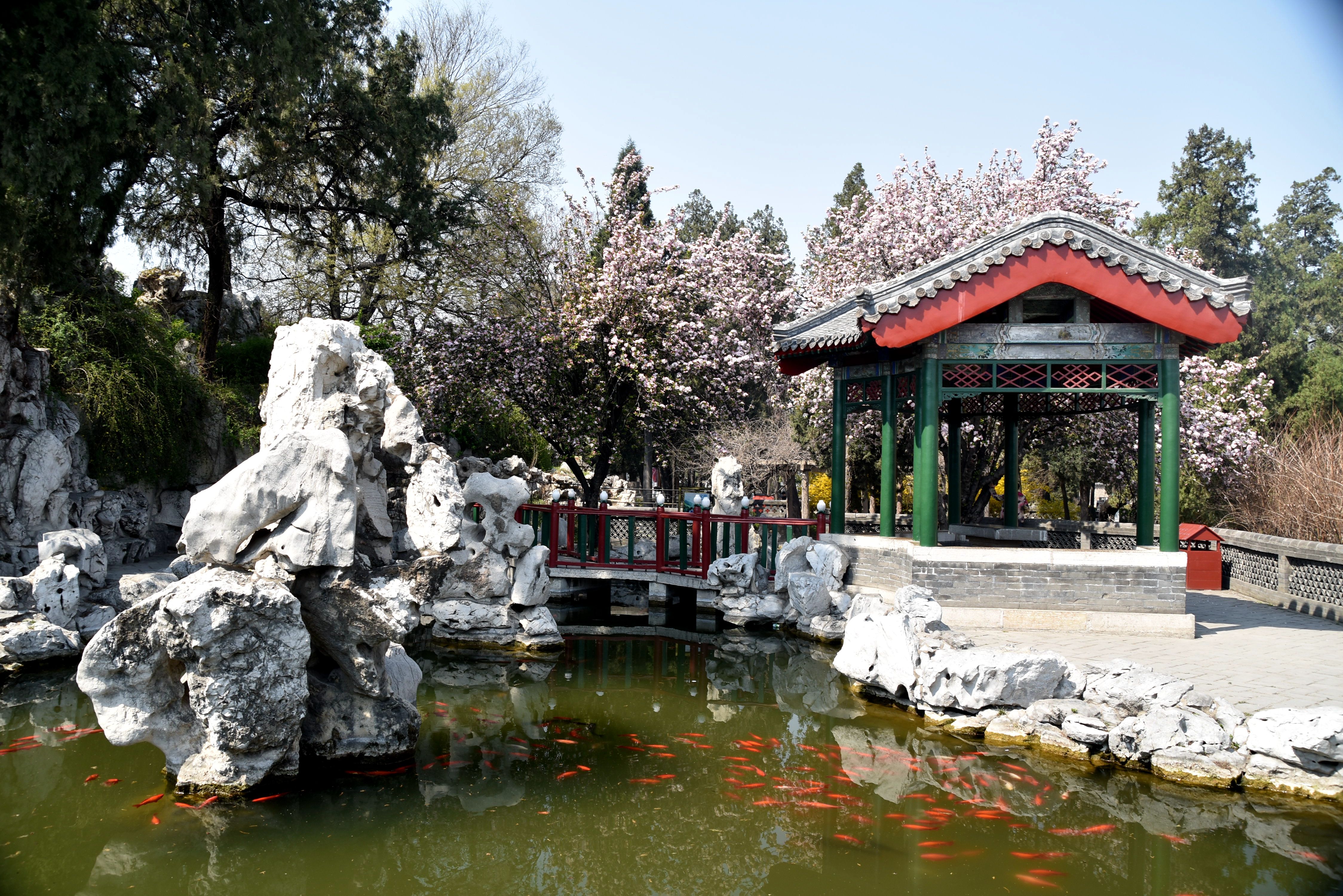 孔府里有一幅《戒贪图》，大义凛然，用心良苦，大家知道吗？