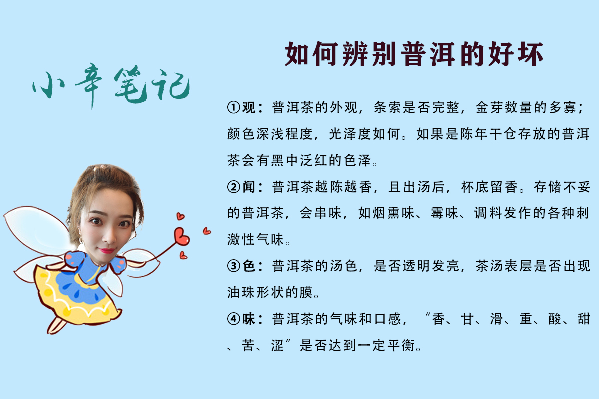网上买普洱茶什么品牌的比较好,新手小白如何入行云南普洱茶