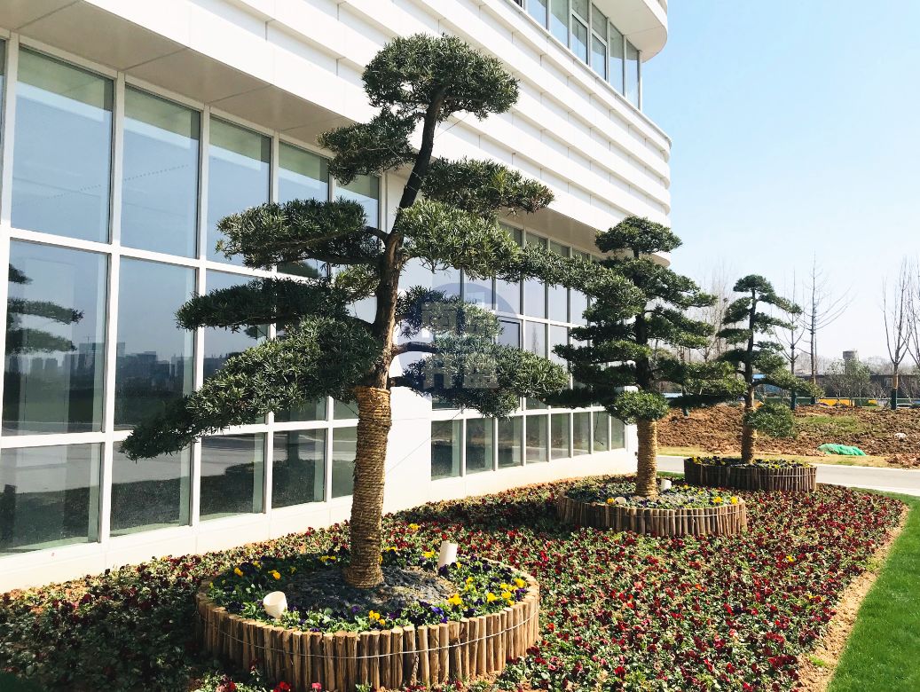 重庆在建最牛医院,南京江北最大医院