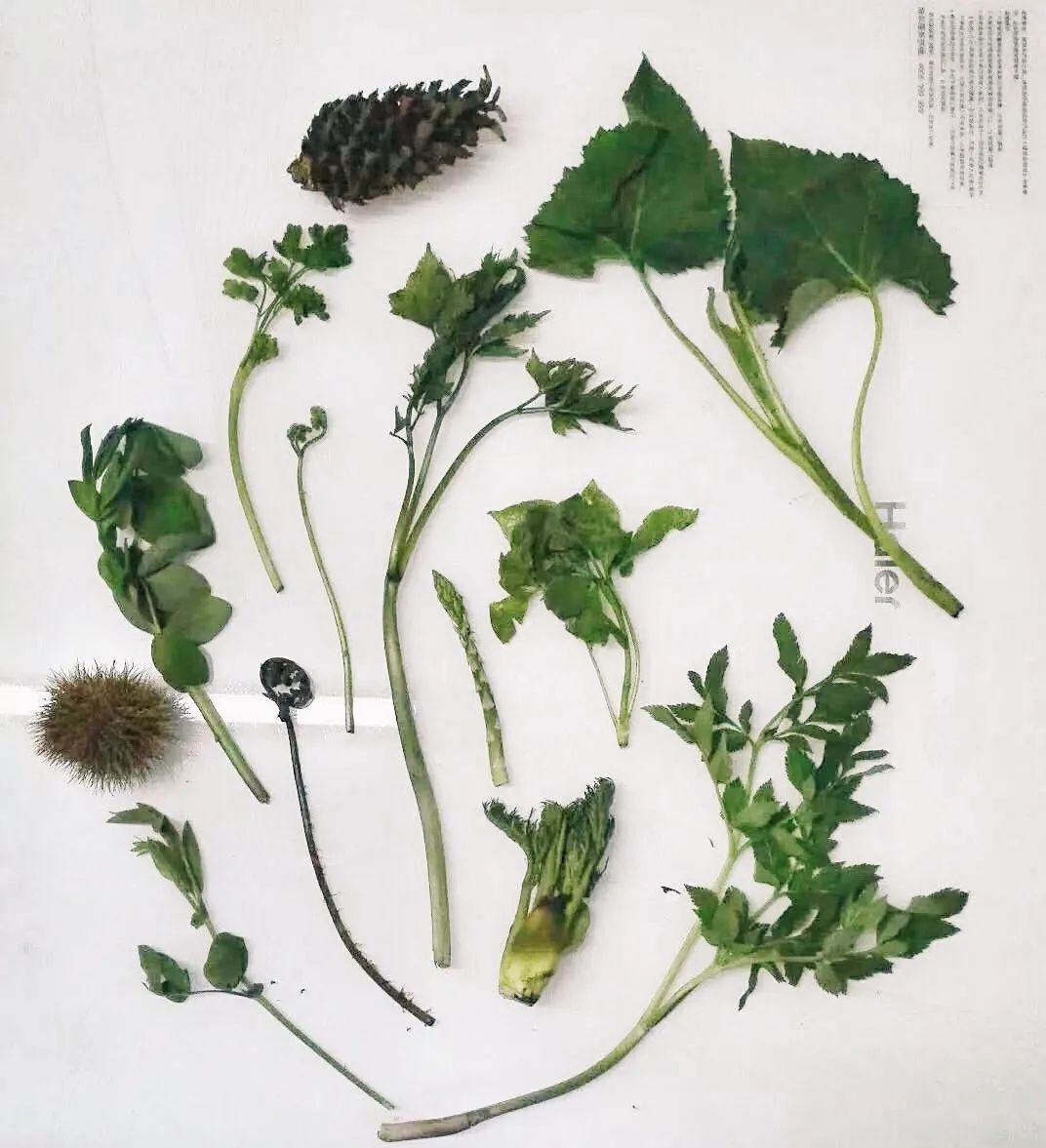 为了一口家乡土特产，你永远想不到网友有多拼