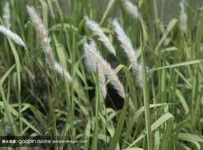 一段美好感情,一段美好的情感