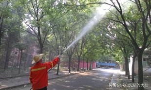 石榴的种植方法和栽培技术,石榴种植高产的原因有哪些