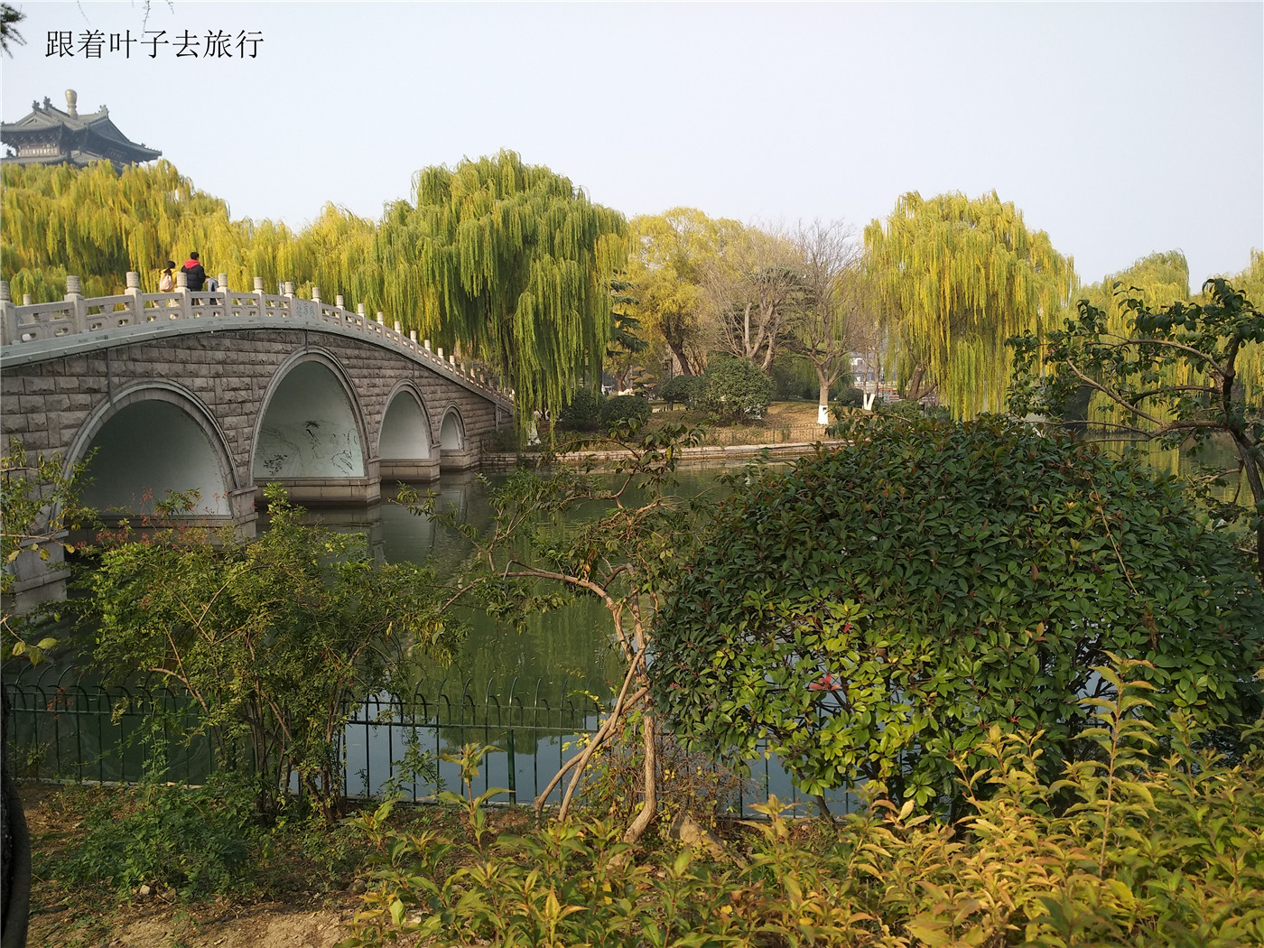 大明湖畔南丰祠雨荷厅前的荷花池,大明湖南丰祠的传说