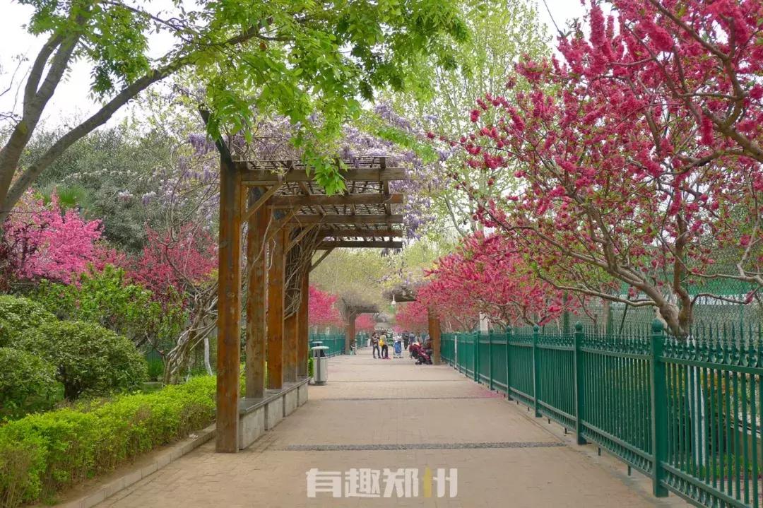 郑州市动物园开放,郑州市动物园什么时候去合适