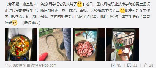 家里进蛇怎么办可以报警吗,家里进蛇找谁可以处理