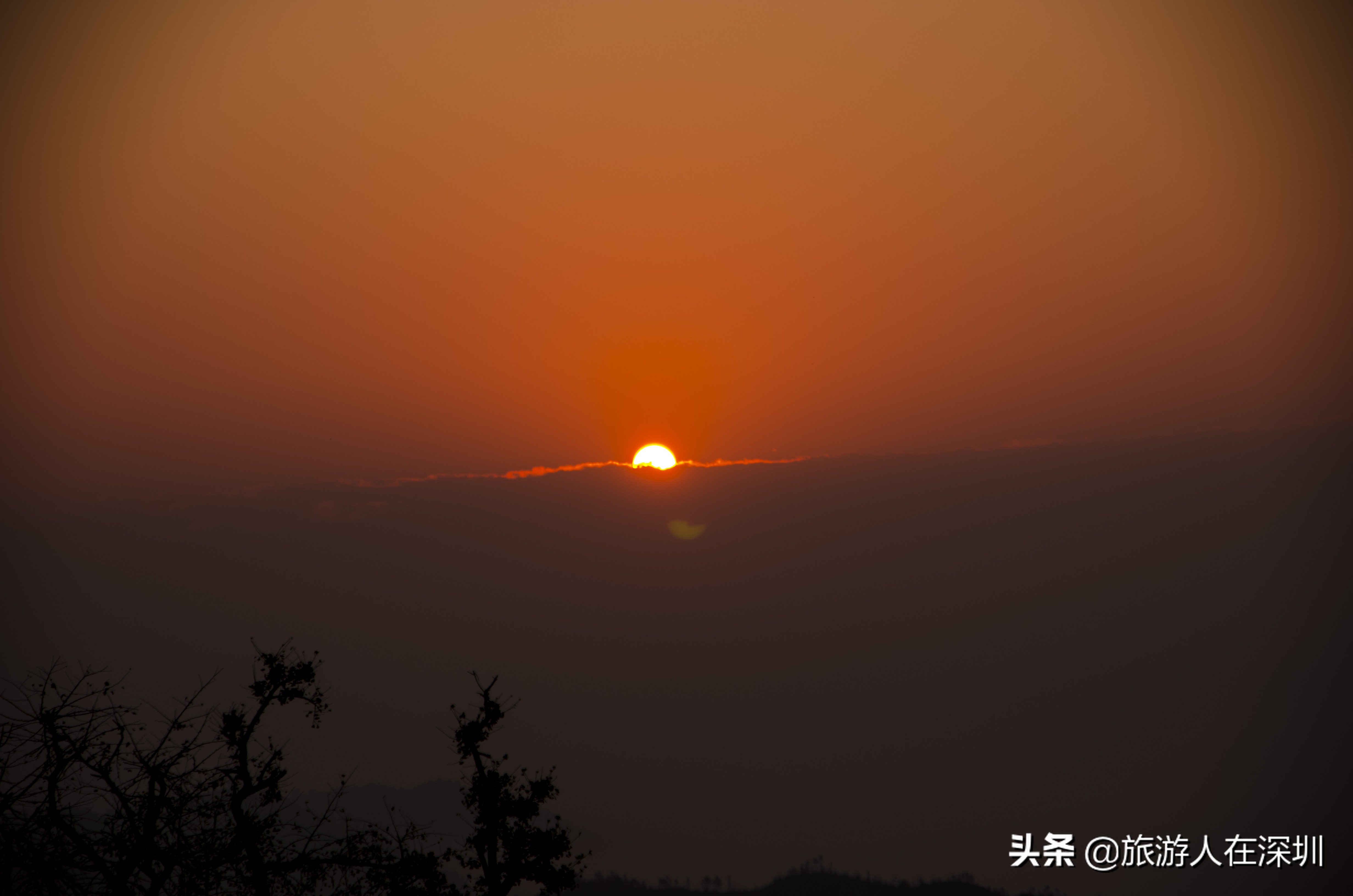 南雄看银杏一日游,去南雄看银杏叶哪里好看点