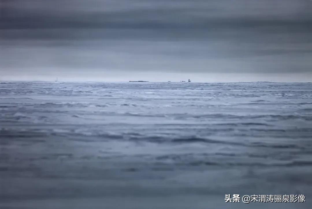 ipa国际动态摄影大赛获奖作品,2020年ipa摄影奖获奖作品