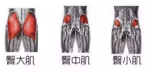 扁平屁股下塌怎么练翘臀,臀部下垂扁平怎么提臀